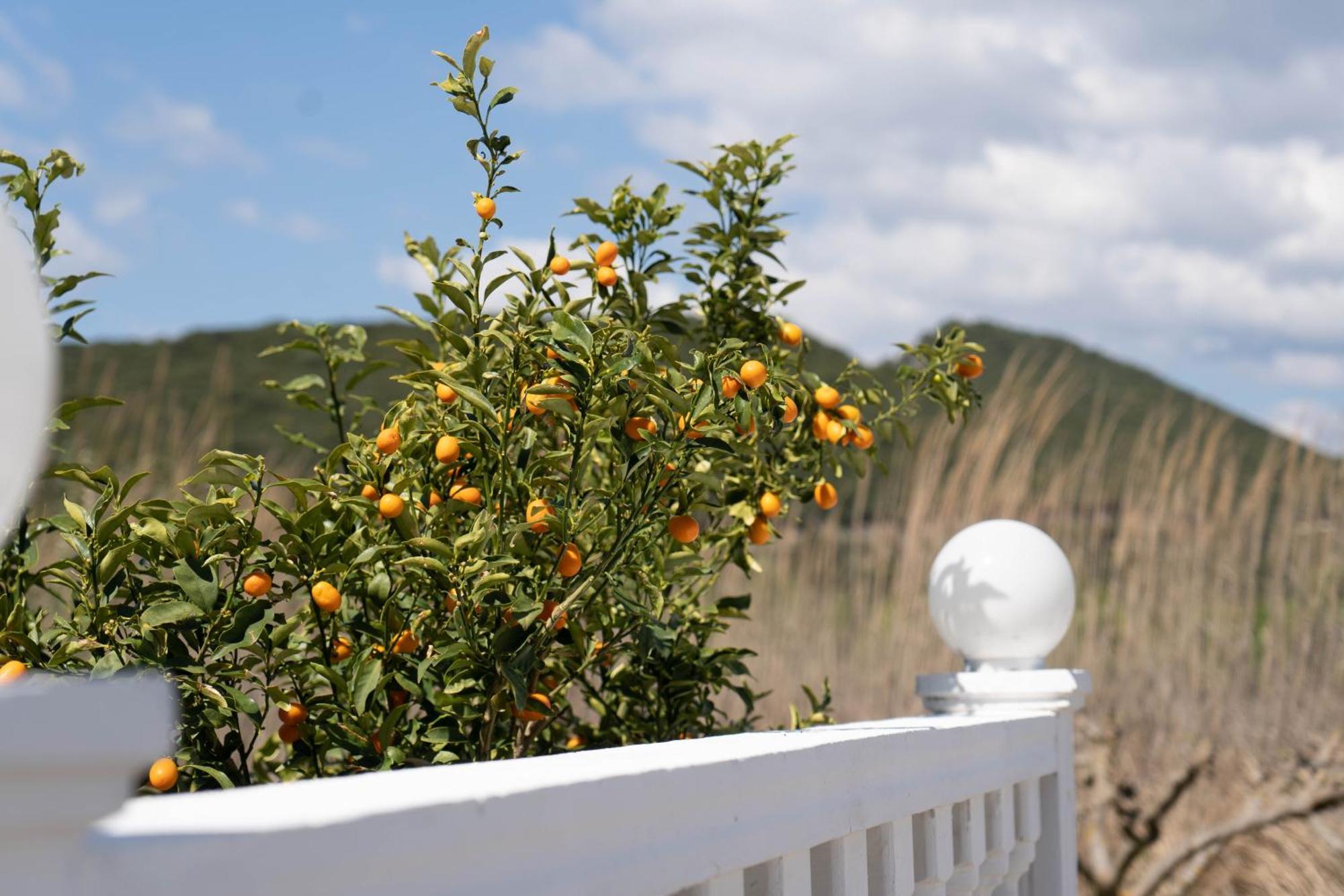 Hotel Alexandros Ammoudia Exteriér fotografie